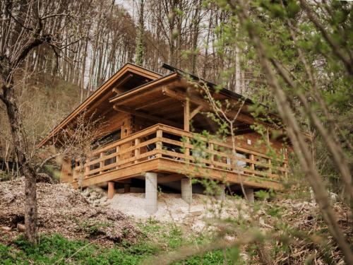 Romantikchalet Vogelnest mit Whirlpool, Kamin, Balkon & Terrasse in Vorra, Deutschland