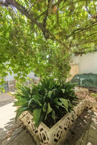 Iekārtas, Casa Ti Mielga in Congosta De Vidriales