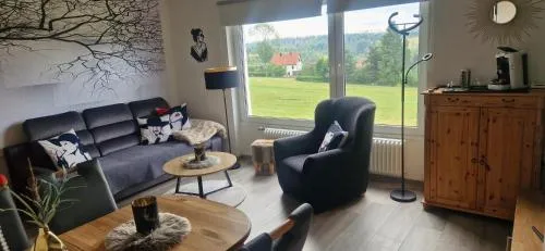 Ferienwohnung Auszeit-Wiesenblick in Braunlage, Deutschland