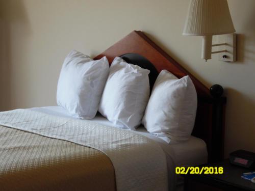 Rodeway Inn & Suites Greensboro Southeast