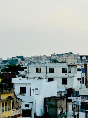 HOTEL VRINDA 966O9O1OO6 Old city Just 750mtr from City palace By SK - image 2