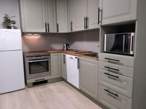Modern 1BR City Centre Apt - Sleeps 4 in Otta