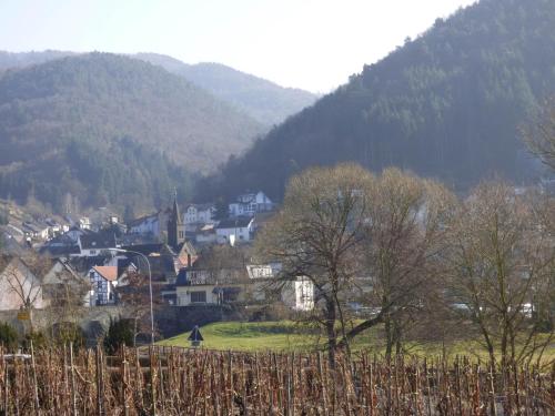 Relaxen im alten Winzerhaus Fewo OG