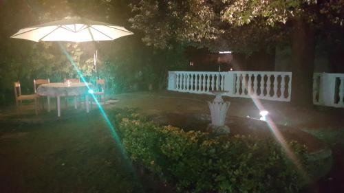 Garden Suite - image 12
