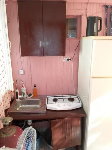 virtuve, Семейный домик (Семеиныи домик) in Fontanka