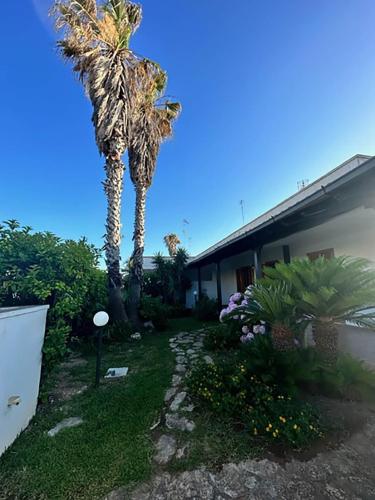 Pino's Home