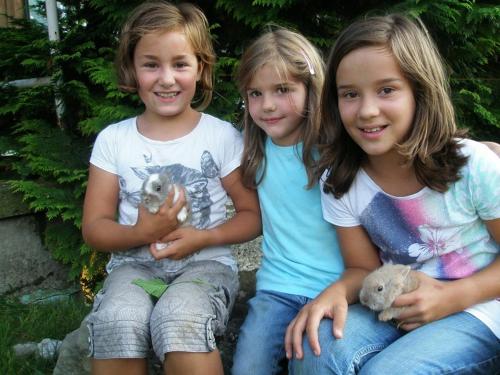 Lindenhof - image 12