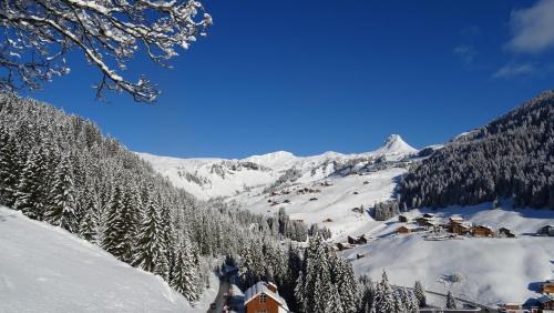 Pension Edelweiss in Damuls