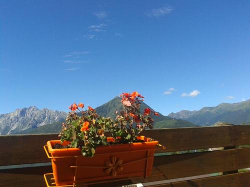 Albergo Ristorante Sargas