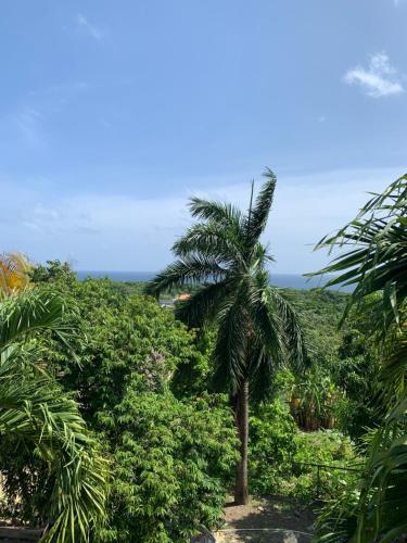Ackee Tree Rustic Cottage in Drapers
