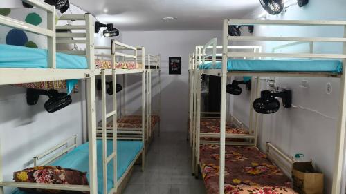 Bunkstay hostel