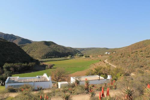 Supanti aplinka, Matjiesvlei Guestfarm in Calitzdorp