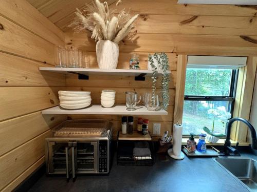 Secluded Studio Cabin with Fenced Retreat Near Blue Ridge Parkway | Meadows of Dan, Virginia in Stuart (VA)