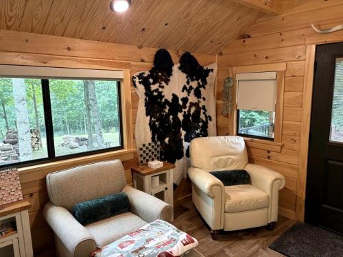 Secluded Studio Cabin with Fenced Retreat Near Blue Ridge Parkway | Meadows of Dan, Virginia in Stuart (VA)