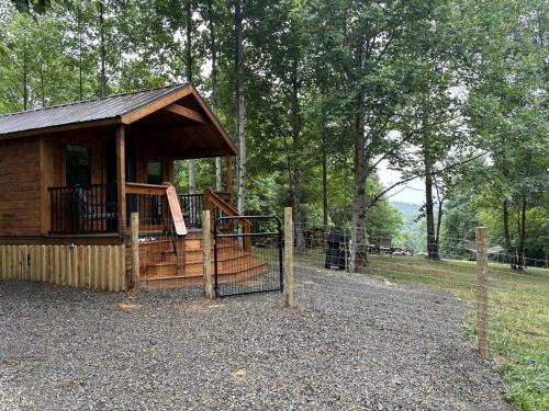Secluded Studio Cabin with Fenced Retreat Near Blue Ridge Parkway | Meadows of Dan, Virginia in Stuart (VA)
