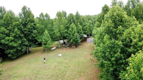 Secluded Studio Cabin with Fenced Retreat Near Blue Ridge Parkway | Meadows of Dan, Virginia in Stuart (VA)