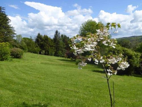 Walkers Retreat - image 6
