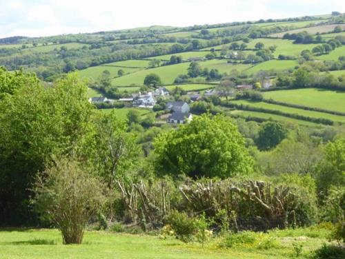 Walkers Retreat - image 10