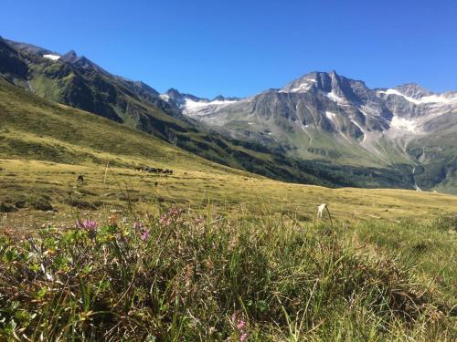  Frühstücks- & Apartmenthaus Maislau in Rauris