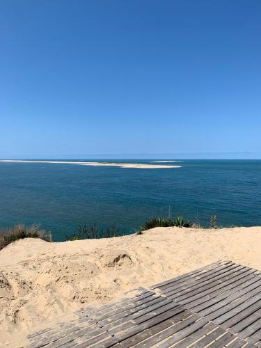 Cocon Plage et bassin