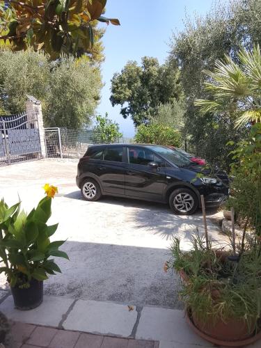 La casa di Antonella 2