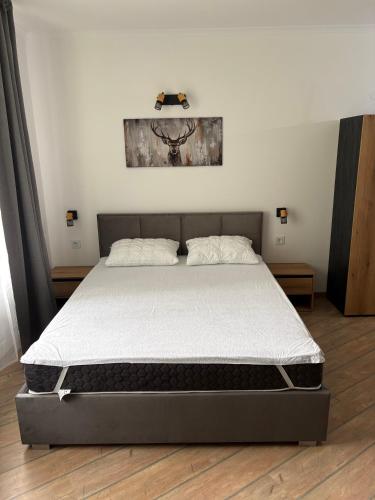 Pine Forest Apartments 4