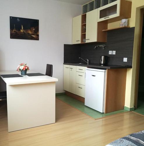 บริการและสิ่งอำนวยความสะดวก, Apartman 4U Olomouc in เนเรดิน