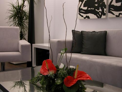 Beatriz Albacete - image 14