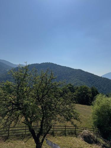 Villa Sali Jaha - Malaj, Rugovë (Villa Sali Jaha - Malaj, Rugove) in โบเก