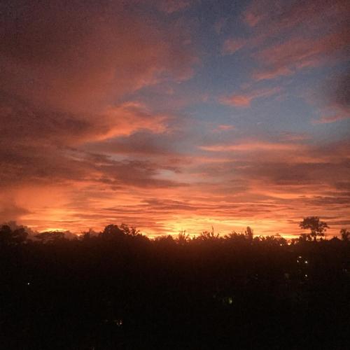 Ubud Wins Bungalow - image 2