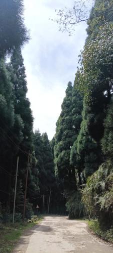 Wang Homestay