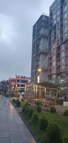 Nodari, Batumi