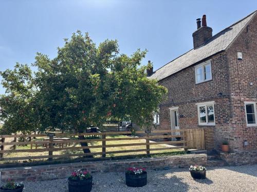 Iekārtas, 3 Bed in Cundall oc-l34088 in Brafferton