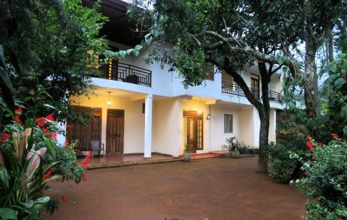 Hotel mango tree nearest Adam's peak