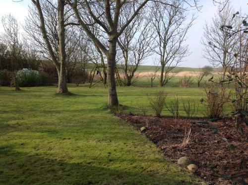 trädgård, Ferienhaus Utlandshorn in Westermarsch I