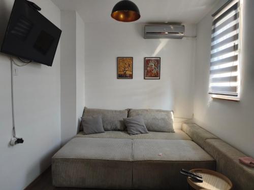 Cozy 5