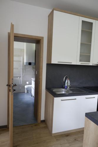 Vannas istaba, Apartmán Borůvka (Apartman Boruvka) in Javornik