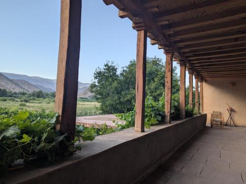 Dar Arechga in 아구우티