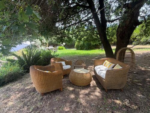 Deux pièces cosy en Corse, piscine et jardin pittoresque (Deux pieces cosy en Corse, piscine et jardin pittoresque) in Venzolasca