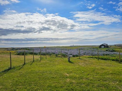 Seaside Stay next to International Airport in Sandgerdi