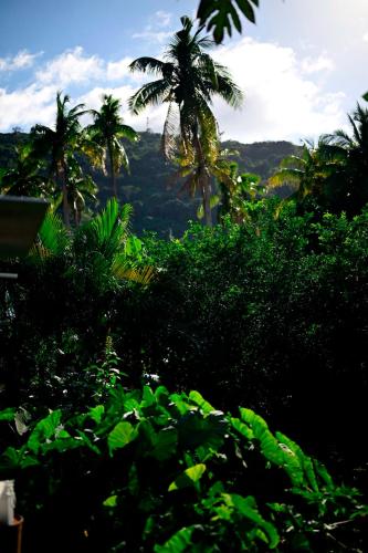 منظر, Taru Homestay- Your Home away fromHome in Yanggeta Island