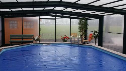 Zwembad, Het Findament Tiny house in Achttienhoven-Westbroek