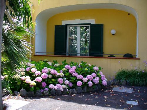 Hotel Villa La Marticana - image 7