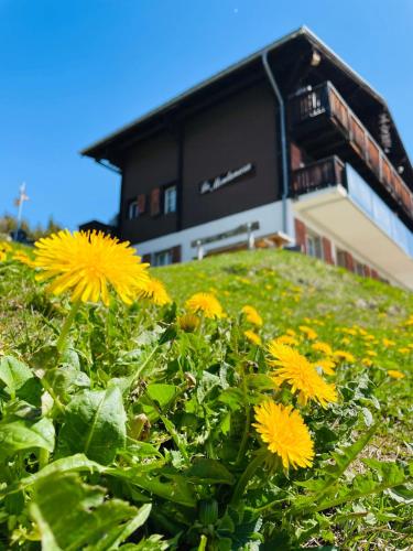 Chalet La Montanara in Bettmeralp, Schweiz