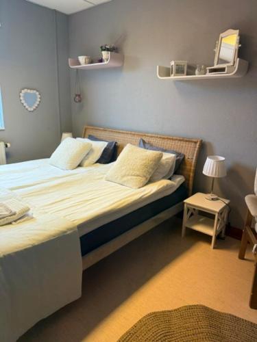 Mellerum pa Osterlen near Fiskedragsmuseet