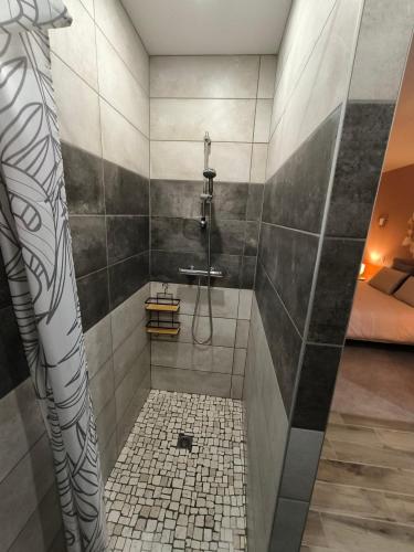 Gîte spa jacuzzi sauna privatif en baie de somme (Gite spa jacuzzi sauna privatif en baie de somme) in Saigneville