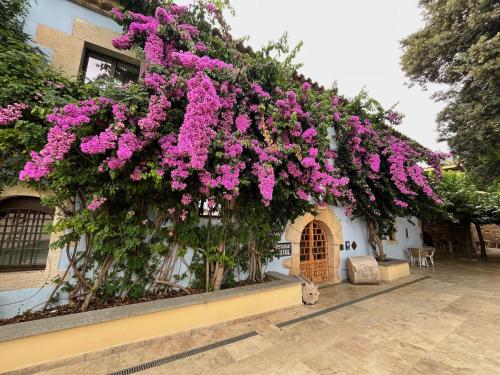 Boutique Hotel Comtal Empuries - Costa Brava