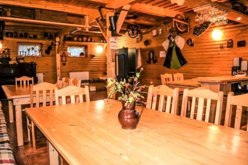 Kitchen, Drevenica pod jasenom in Liptovská Osada