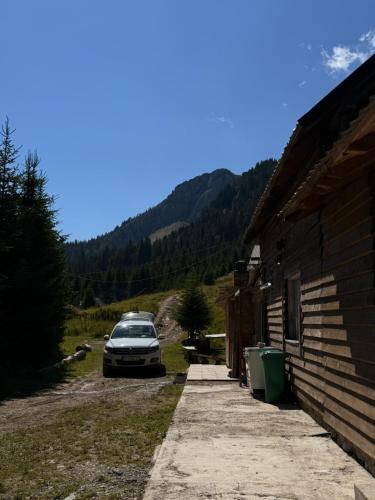 Ereniku Alpine Cabin-Riverfront Escape in 伦巴德