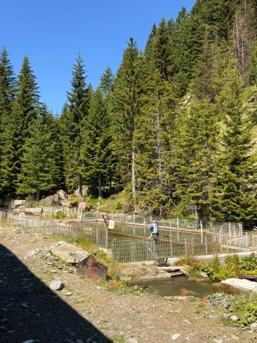 Ereniku Alpine Cabin-Riverfront Escape in 伦巴德